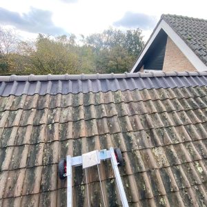 3c4e4cdc-dd9d-42cc-be21-3a25f1a7a58d