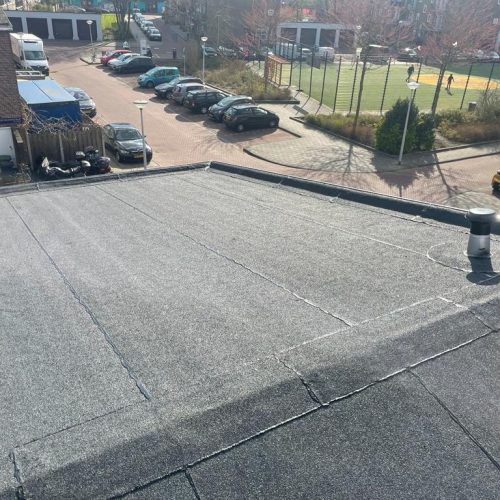 WhatsApp Image 2023-03-10 at 13.59.16 (1)